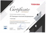 Сертификат Toshiba (Ahi-Carrier)
